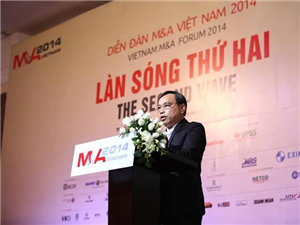 M&A Việt Nam: Làn sóng thứ hai không chỉ là gợn sóng 